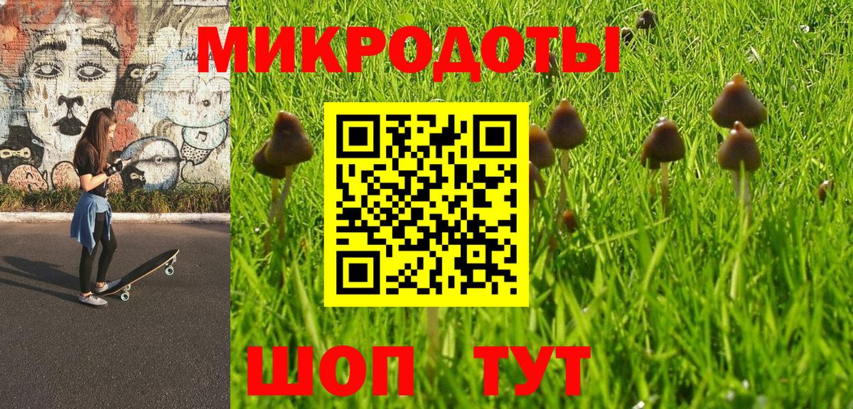 Моздок  Псилоцибиновые грибы мицелий  Псилоцибиновые грибы GOLDEN TEACHER  Вход с VPN 