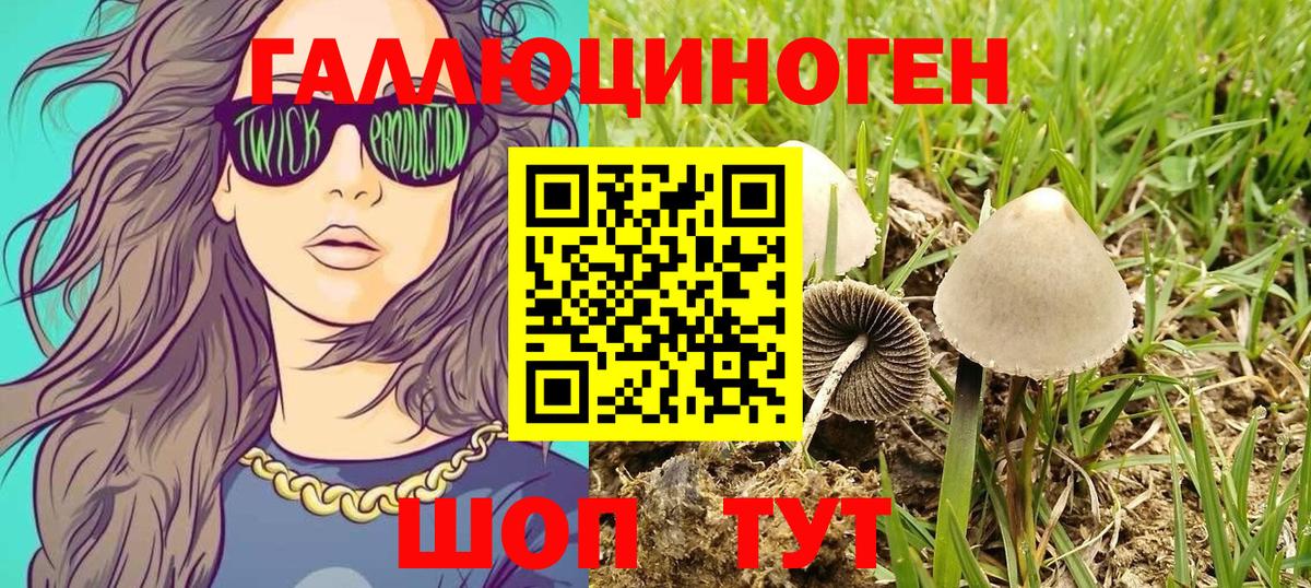 Галлюциногенные грибы Cubensis Моздок