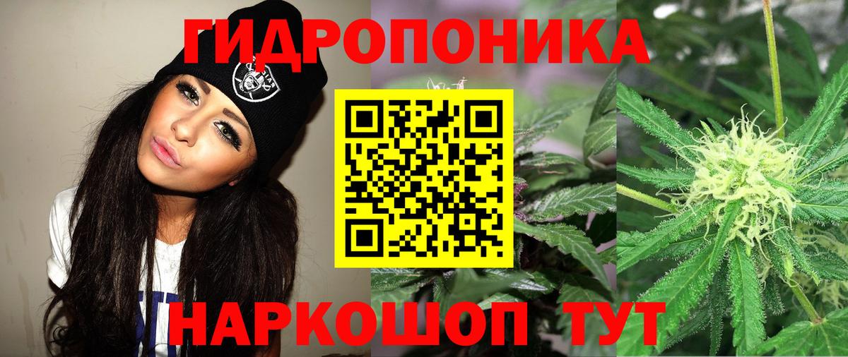 Шишки марихуана LSD WEED  МАРИХУАНА марихуана  Моздок  Вход с VPN  Конопля White Widow  Бошки Шишки VHQ 